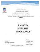 EMOCIONES