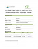 Programa de Gestión de Riesgos de Seguridad y Salud Ocupacional Consultora de Bosques Ltda Año 2021