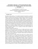 DETERMINACIÓN DE LA CONCENTRACIÓN DE 5-HMF