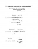 Ensayo fundamentos de Programación