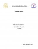 MICROELECTRONICA TRABAJO PRACTICO N 1