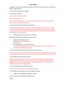 Practico / respuestas de examen del libro subibor