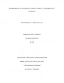 INFORME SOBRE EL ANALISIS DE LAS IDEAS, TEORIAS Y PENSAMIENTOS DE FILOSOFOS