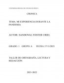 MI EXPERIENCIA DURANTE LA PANDEMIA