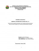 INFORME DE PASANTÍAS EMPRESA: DISTRIBUIDORA LARAVEN USA, C.A