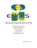 Pensamiento Matemático