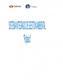 El Grupo Polpaico es una compañía con más de 60 años de tradición en chile ,líder en fabricación de cemento , hormigones y áridos