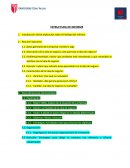 ESTRUCTURA DE INFORME