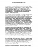 EJEMPLO DE VALORACION