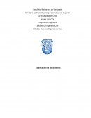 Sistemas organizacionales