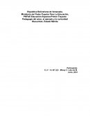 Pedagogía del amor, el ejemplo y la curiosidad
