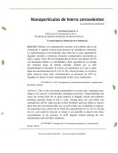 Nanopartículas de hierro cerovalentes en remediación ambiental Carrizales Grosso.S. A