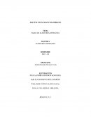 FASES DE AUDITORÍA OPERATIVA