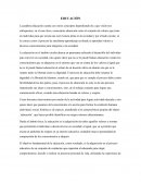 CONCEPTO DE EDUCACION