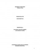 LEAN MANUFACTURING.EVALUACIÓN DE LAS 5 S´