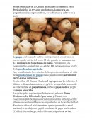 Cultivo de la papa en Perú