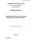 ANÁLISIS CUANTITATIVO DE LA ACTIVIDAD ENZIMÁTICA DE LA AMILASA SALIVAL