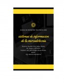 Sistemas de información de la mercadotécnia