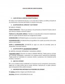 GUIA DE DERECHO CONSTITUCIONAL