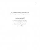 ANÁLISIS DE DATOS MERCADO DE VEHÍCULOS