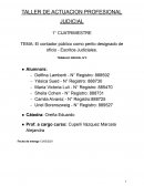 El contador público como perito designado de oficio - Escritos Judiciales