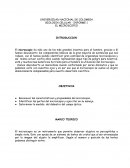 BIOLOGIA CELULAR - INFORME 1