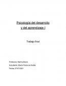 Psicología del desarrollo y del aprendizaje