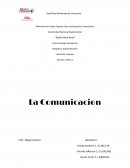 IMPORTANCIA DE LA COMUNICACION