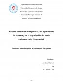 Factores causantes de la pobreza, del agotamiento de recursos y de la degradación del medio ambiente en La Comunidad