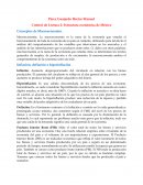 Estructura económica de México