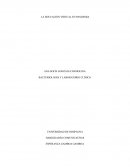 LA EDUCACIÓN VIRTUAL EN PANDEMIA