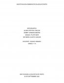 Investigacion embarazo en adolecentes