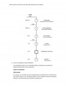 DOP del proceso productivo del café luego del proceso de sembrado