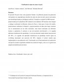 Clasificador de tipos de cáncer de piel
