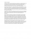 T grande vs t pequeña