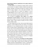 Patria Potestad: Definición, identificación de los sujetos, titulares de la patria potestad