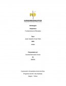 Fundamentos de Mercadeo BEER PINK