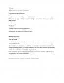 Conceptos clave de comunicación integral: Métodos, estrategias e identidad de marca