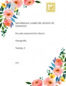 Globalización impacta todos los ámbitos de nuestra vida