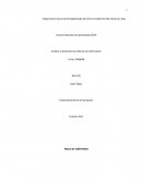 Análisis y desarrollo de sistemas de información