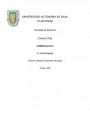 INFORME DOCUMENTAL BALÍSTICA