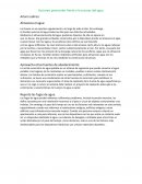 Acciones personales frente a la escasez del agua