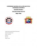 TALLER DE PRACTICA Nª3 PMgC Y PMeC