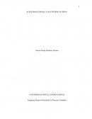 AUDITORIA GENERAL Y DE CONTROL INTERNO