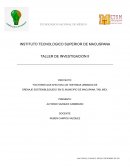 PROYECTO: “FACTORES QUE AFECTAN LOS “SISTEMAS URBANOS DE DRENAJE SOSTENIBLE(SUDS)” EN EL MUNICIPIO DE MACUPANA, TAB, MEX