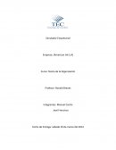 Simulador Empresarial Empresa: (American Ink S.A)