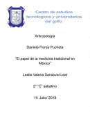 El papel de la medicina tradicional en México