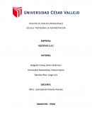 MARKETING empresa SOCOPUR SAC