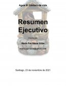 Resumen Ejecutivo planta purificadora de agua