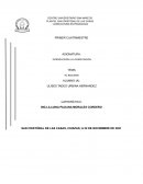 Uso de las TICS en la educación superior durante la Pandemia